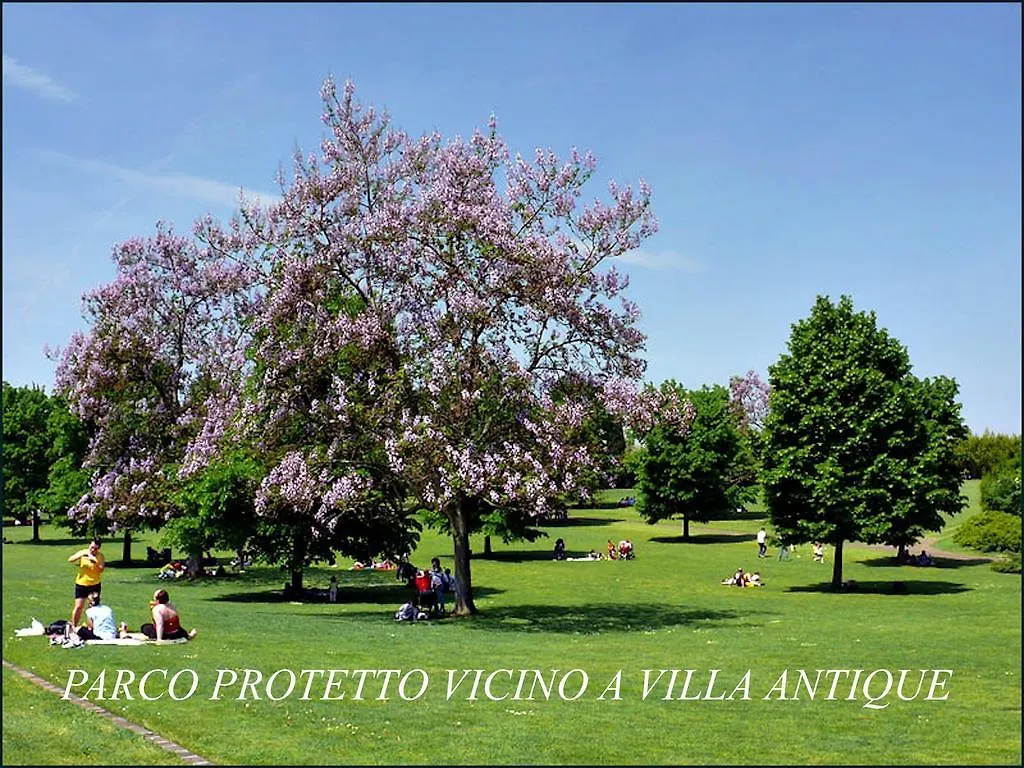 Villa Antique Con Piscina Idromassaggio In Verona, Veneto, Italia Cerea